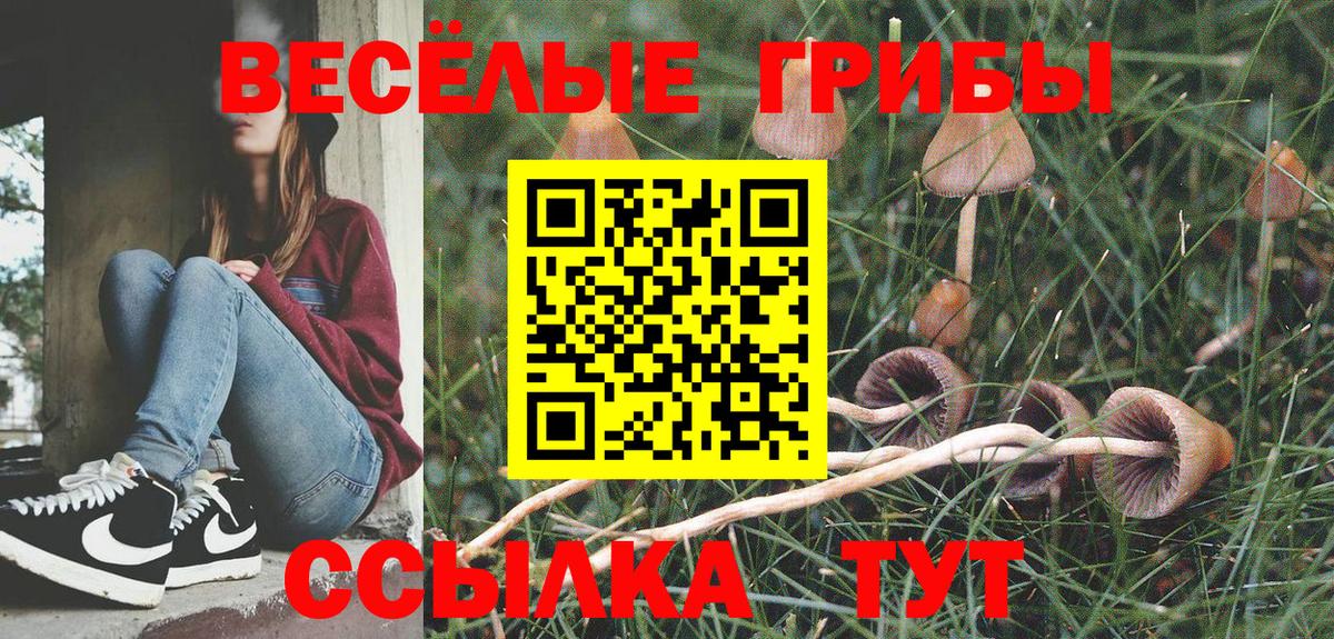 Галлюциногенные грибы Magic Shrooms Тара