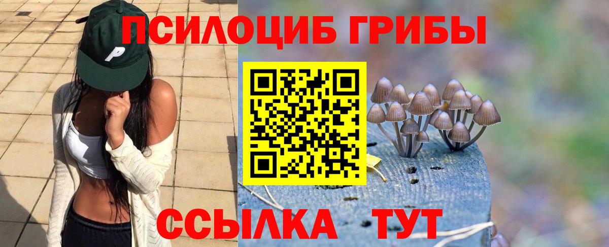 Псилоцибиновые грибы Psilocybine cubensis  Вход с VPN  Тара  Галлюциногенные грибы ЛСД 
