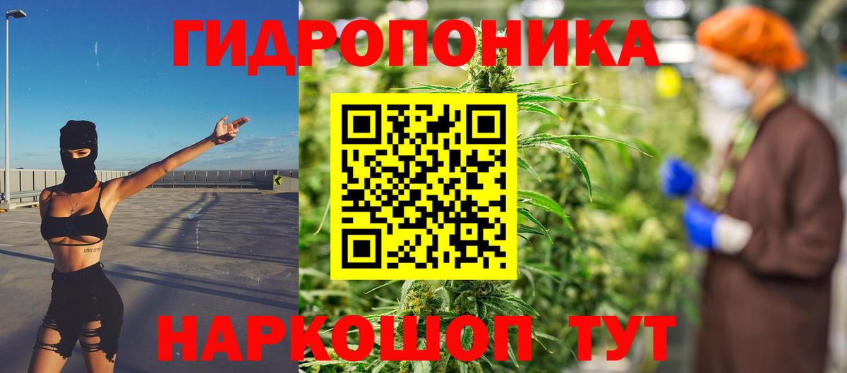 Каннабис Bruce Banner Тара